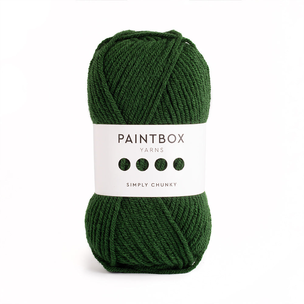 Paintbox Yarns Simply Chunky