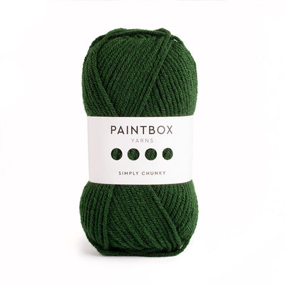 Paintbox Yarns Simply Chunky