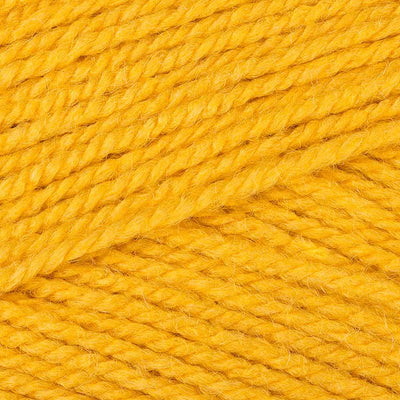 Paintbox Yarns Simply Chunky