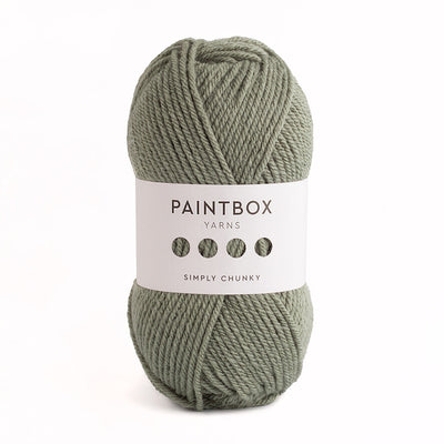 Paintbox Yarns Simply Chunky